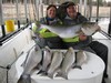 (02/20/2017) - Nice Striped Bass
